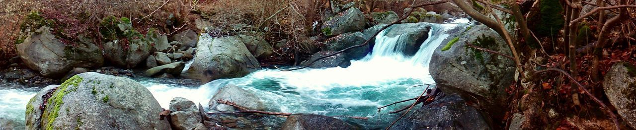 Waterfall in forest