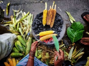 High angle view of vegetables on plant