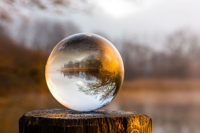 Close-up of crystal ball against trees