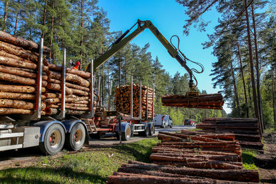 Stack of logs on field against trees in forest