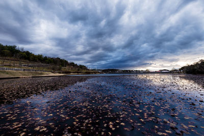 Fallen leaves in river against dramatic sky