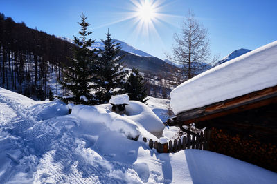 Snow covered trees and buildings against sky