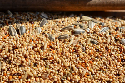 High angle view of bird food