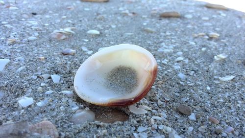 High angle view of ice on beach