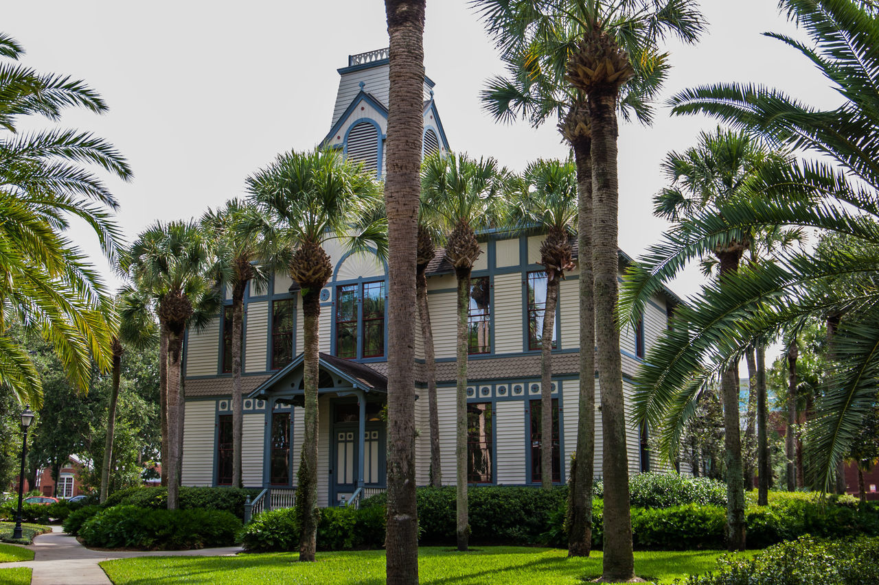 VIEW OF PALM TREES AND BUILDING AGAINST SKY