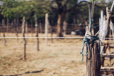 Wooden fence on field