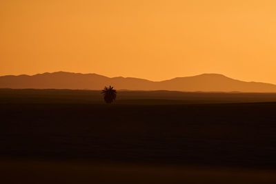 Scenic view of sunset
