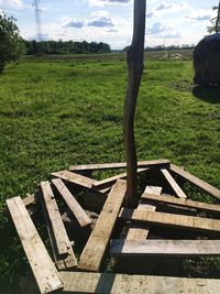 Scenic view of field against sky