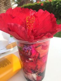 Close-up of red flower on table