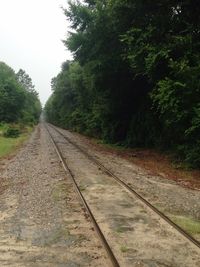 Railway tracks amidst trees against clear sky