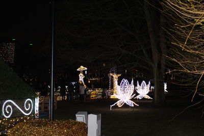 Illuminated christmas tree at night