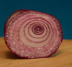 Close-up of food on wooden table