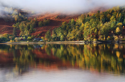 Scenic view of lake in forest during autumn