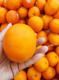 Close-up of orange fruits in market