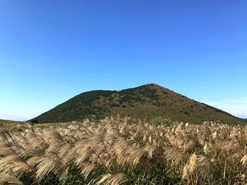 Scenic view of mountain against clear blue sky