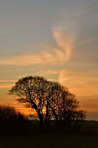 Silhouette bare tree on field against romantic sky at sunset