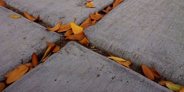 High angle view of fallen orange autumn leaves on walkway