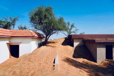 Houses and tree by building against blue sky