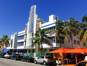 City street by palm trees and buildings against sky