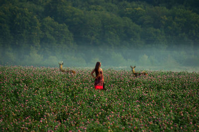 Woman standing on field amidst plants during foggy weather