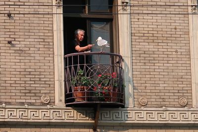 Man and potted plants on window of building