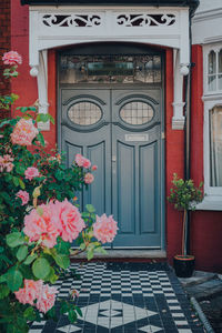 Potted plant on door of building