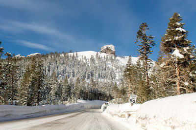 Snow covered land and trees against sky