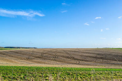 Scenic view of agricultural field against blue sky