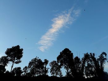 Low angle view of silhouette trees against sky