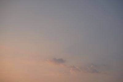 Low angle view of trees against sky