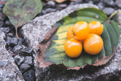 Close-up of fruits