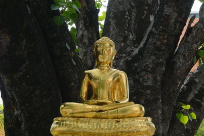 Gold statue of buddha against tree