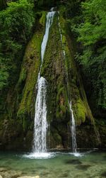 Scenic view of waterfall in forest