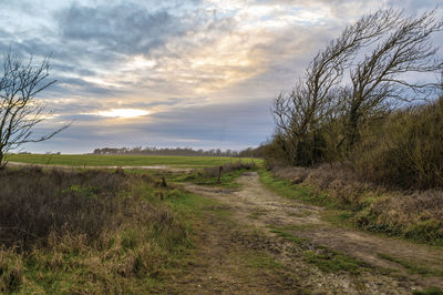 Dirt road amidst field against sky