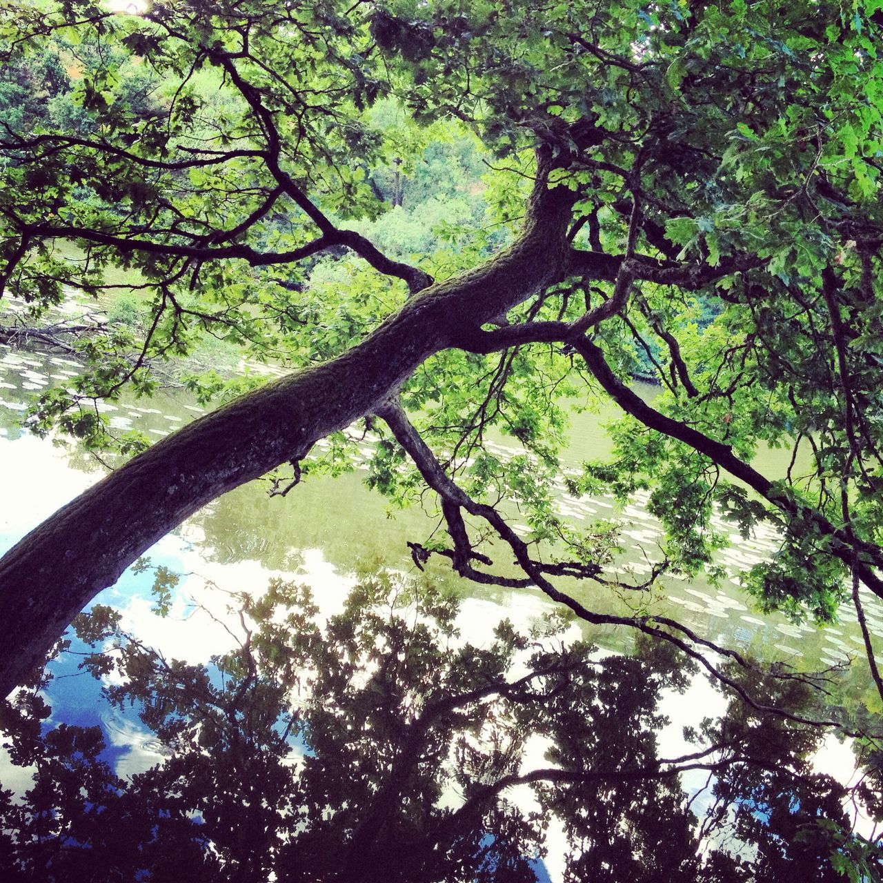 Parc de la Garenne