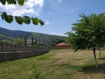 Trees and houses on field against sky