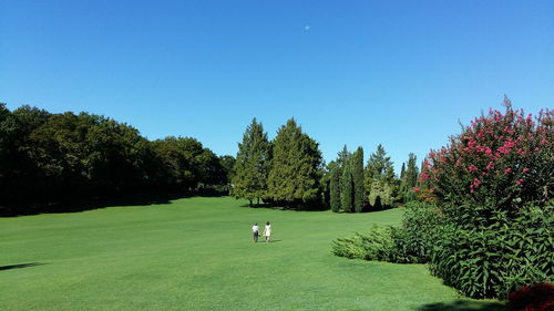 Distant view of friends walking on grassy field by trees at hill against clear blue sky