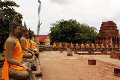Trees against cloudy sky