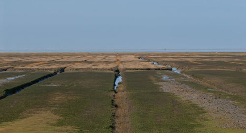 Priel and wetland on the north sea island of sylt