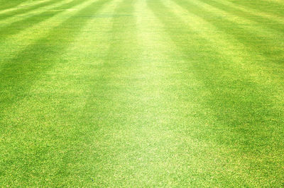 High angle view of soccer field