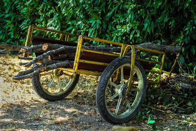 Bicycle parked by tree