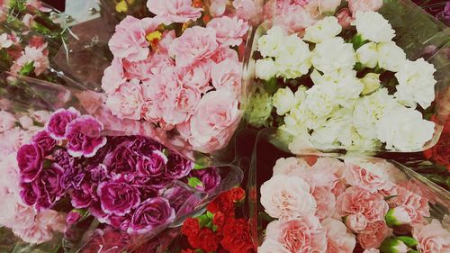Full frame shot of pink flowers