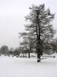 Trees on snow covered field against sky
