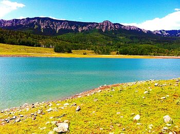 Scenic view of lake