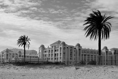 Palm trees by beach against sky