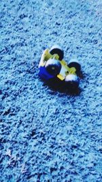 Close-up of tree against blue sky