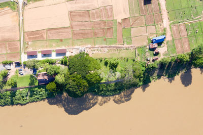 High angle view of trees by building