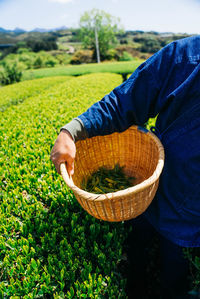 Midsection of man holding basket in field