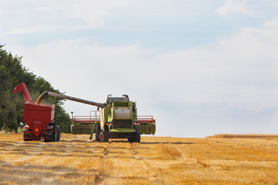 Combines harvester filling tractor trailer with wheat on a sunny day, rural scene