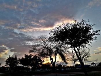 Low angle view of silhouette trees against sky at sunset